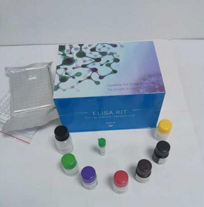 马主要组织相容性复合体（MHC/ELA）ELISA试剂盒