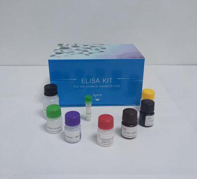 鸭主要组织相容性复合体（MHC）ELISA试剂盒