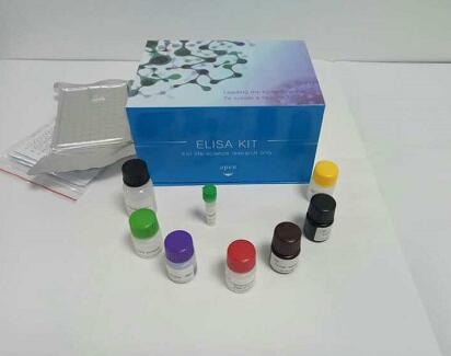 大鼠艾杜糖硫酸酯酶（IDS）ELISA 试剂盒
