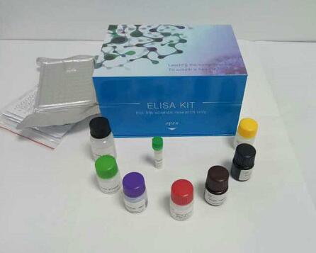 小鼠肌红蛋白（MYO/MB）ELISA试剂盒