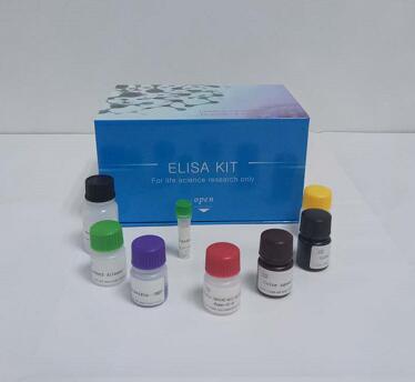 豚鼠白介素6（IL-6）ELISA 试剂盒