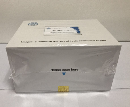 Human Neuroglobin （NGB） ELISA Kit