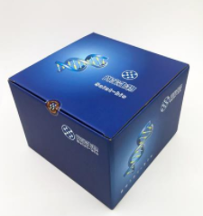 肥大细胞染色试剂盒（甲苯胺蓝法）
