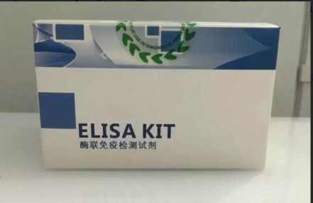 人连蛋白（zonulin）ELISA检测试剂盒